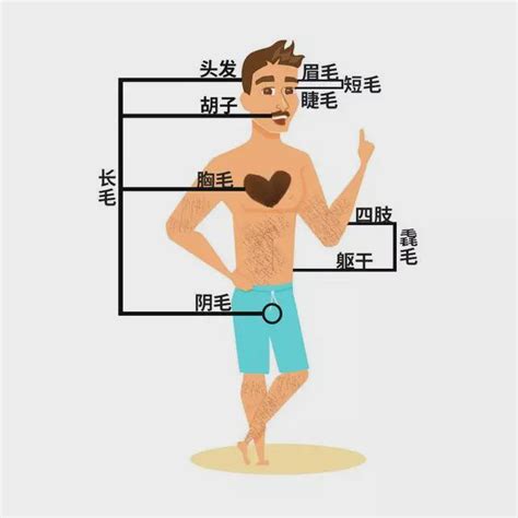 手毛多代表什麼|身上有一根毛特別長，是長壽象徵，還是癌變前兆？